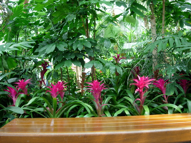 DSCN0854