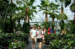 DSCN0849