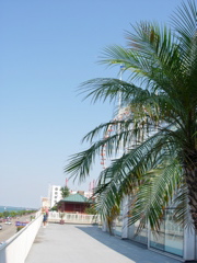 DSCN0860