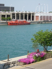 DSCN0867