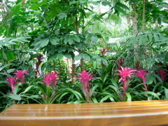 DSCN0854