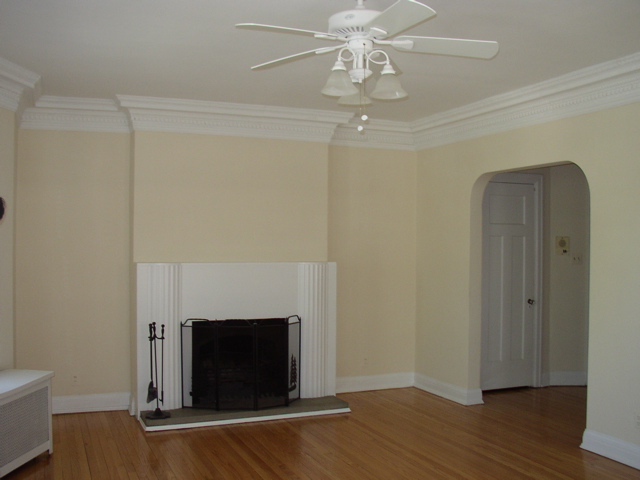 Living Room with Working Fireplace