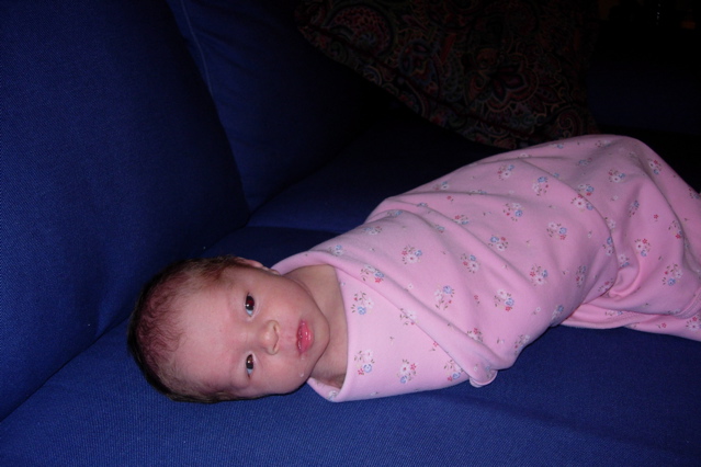 DSCN1490.JPG