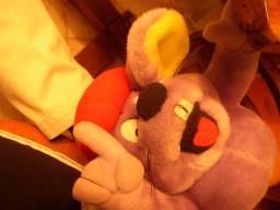 Sparky - slipper extraordinaire!