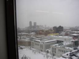 A view from the top