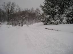 a winter scene of a snowy road