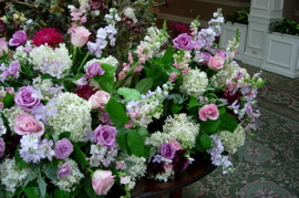 DSCN0967