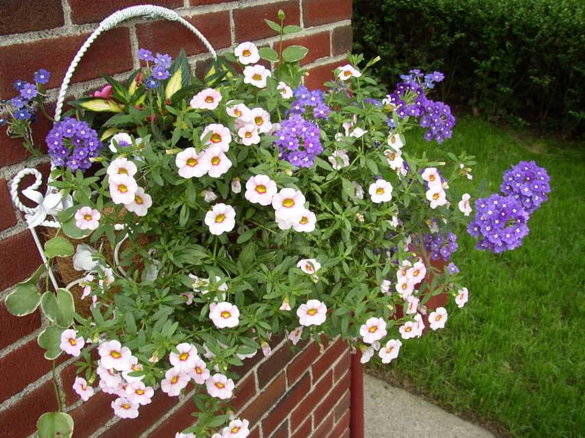 P6130063