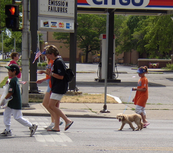 A cute puppy joins the parade