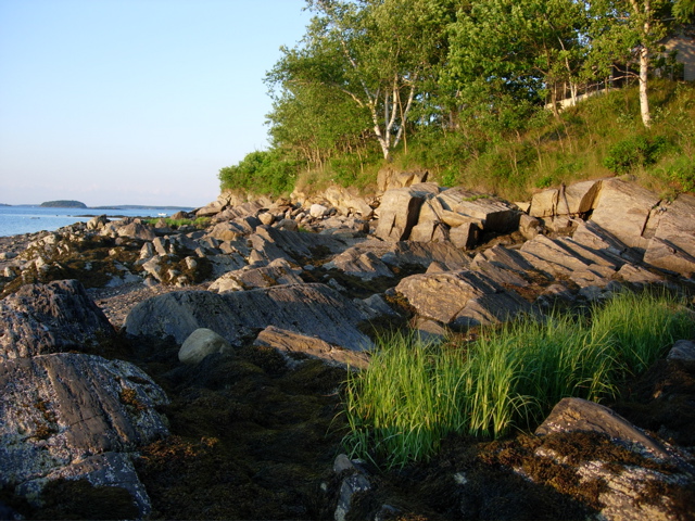 DSCN0782.JPG