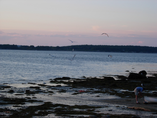 DSCN0787.JPG