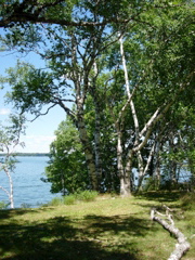 DSCN0794.JPG