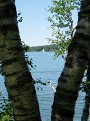 DSCN0795.JPG