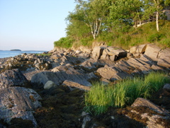 DSCN0782.JPG