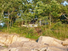 DSCN0784.JPG