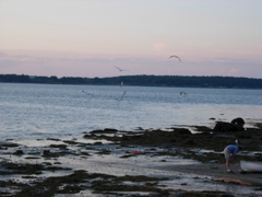 DSCN0787.JPG