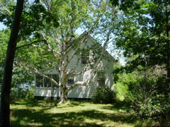 DSCN0796.JPG