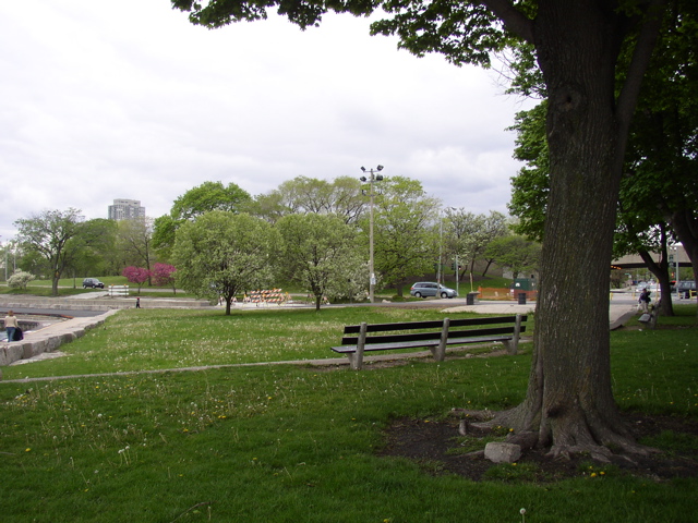 P1010019.JPG