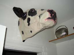 Mooooo